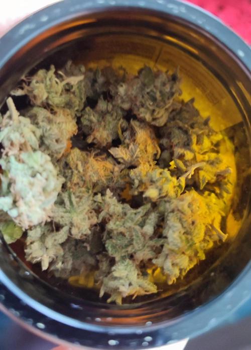 Super Silver Haze. Week 14