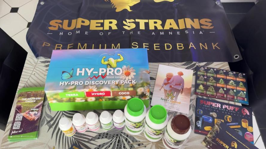 Purple punch SuperStrain/Hy-Pro 🌱