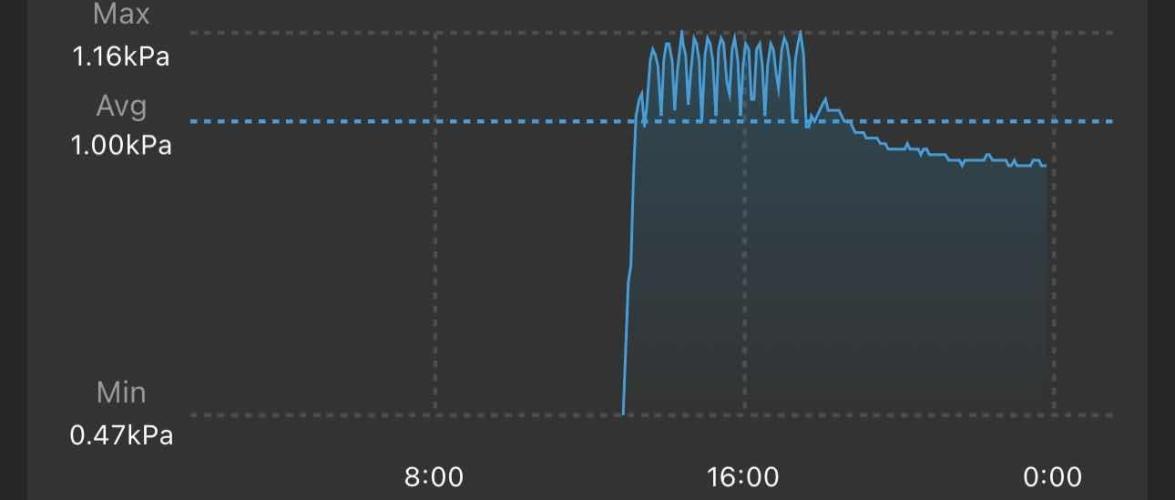 Purple punch SuperStrain/Hy-Pro 🌱. Week 4