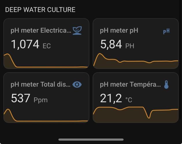 [SuperStrains]DWC Purple punch. Week 1