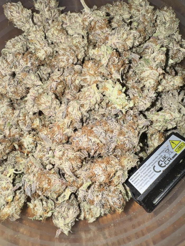 Purple punch SuperStrain/Hy-Pro 🌱. Week 16