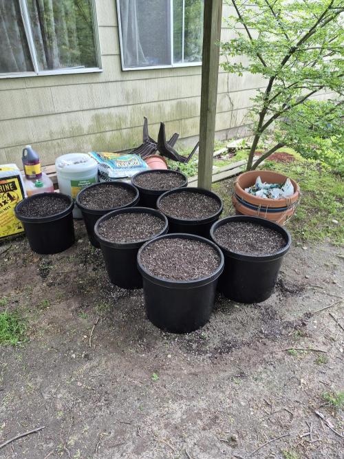 Spring 26. Week 1