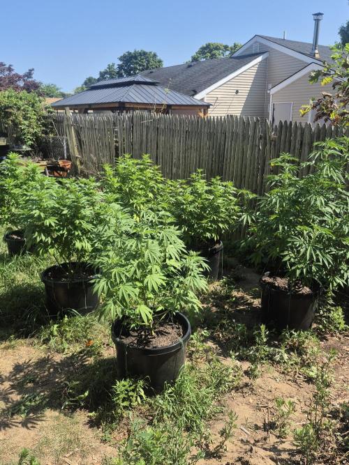 Spring 26. Week 12