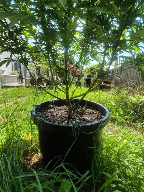 Spring 26. Week 14