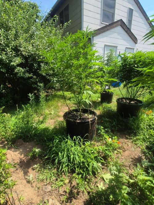 Spring 26. Week 14