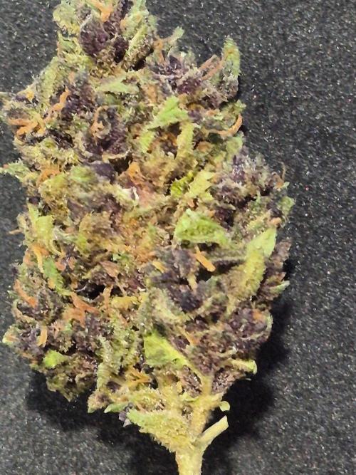 Purp haze 2026. Week 12