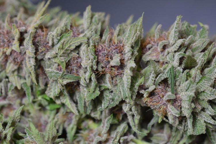 HUCKLEBERRY SODA 5 X PINEAPPLE EXPRESS 4. Week 14 - P#1