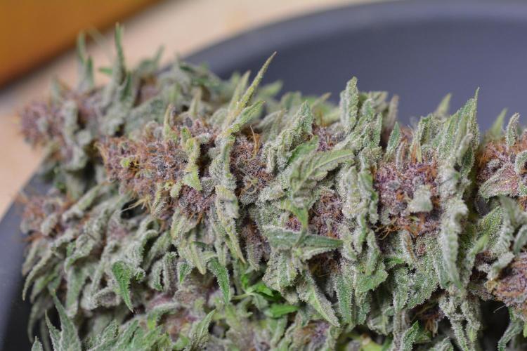 HUCKLEBERRY SODA 5 X PINEAPPLE EXPRESS 4. Week 14 - P#1