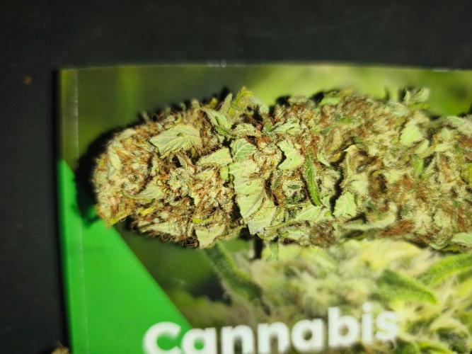 HUCKLEBERRY SODA 5 X PINEAPPLE EXPRESS 4. Week 14 - P#3 cured 161g