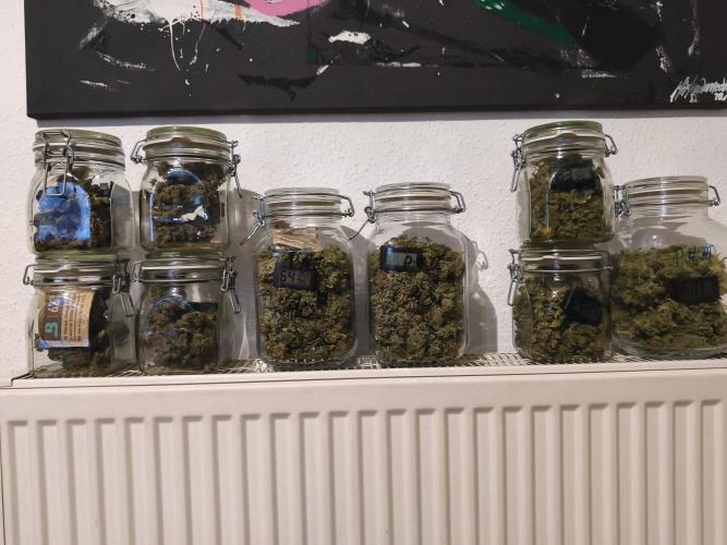HUCKLEBERRY SODA 5 X PINEAPPLE EXPRESS 4. Week 14