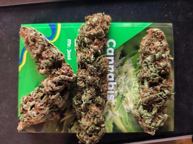 HUCKLEBERRY SODA 5 X PINEAPPLE EXPRESS 4. Week 14 - P#1 P#2 P#3