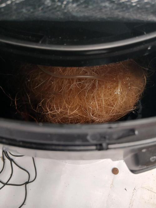 DWC Grow with Advanced Seeds. Week 10