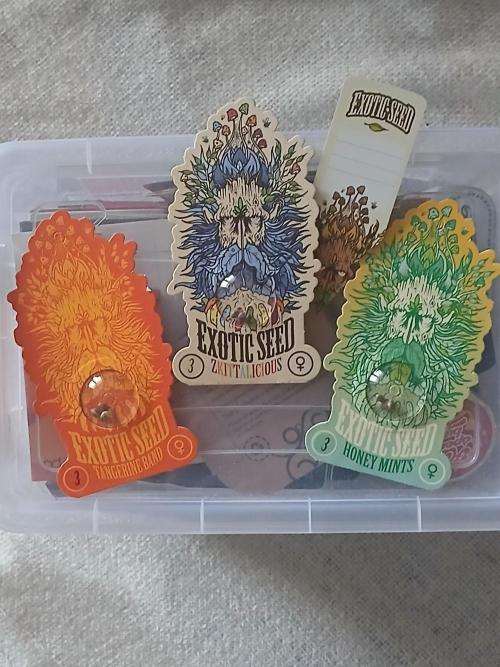 Hydroponischer Exotic Seed Grow. Week 0