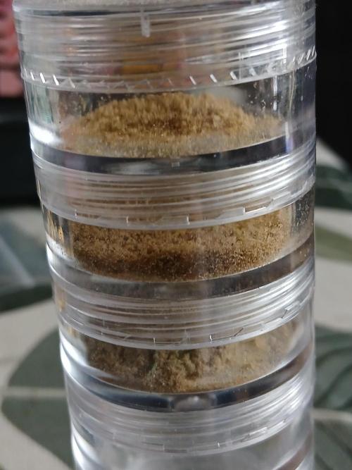 Auto Journey with FastBuds and Barney's. Week 15