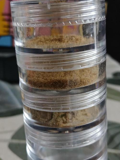 Auto Journey with FastBuds and Barney's. Week 15