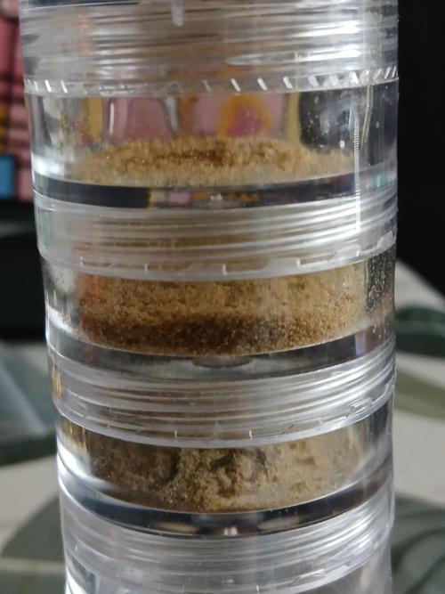 Auto Journey with FastBuds and Barney's. Week 15