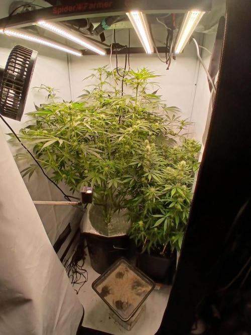. Week 8
