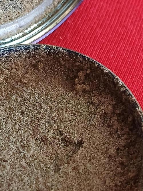 Raunächte-Grow mit Exotic Seed. Week 12