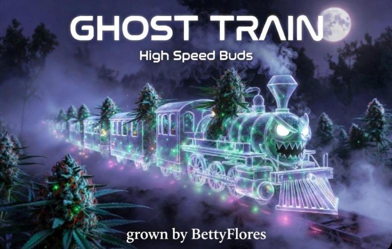 Ghost Train Indoor Ride. Week 11