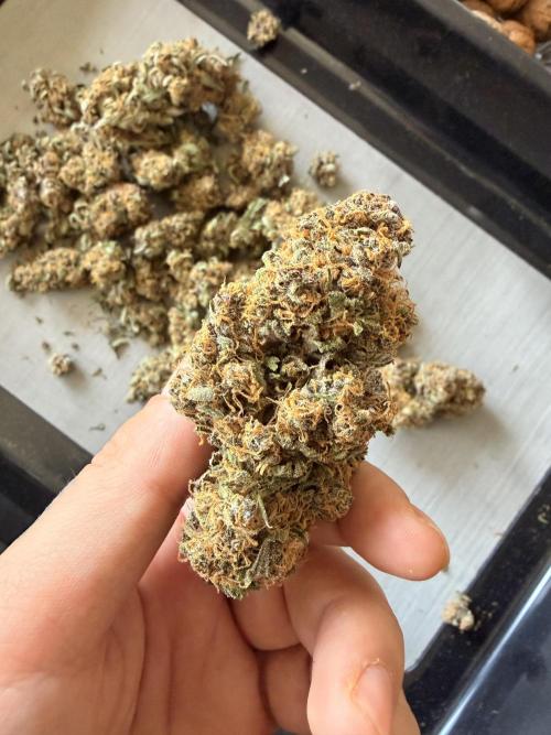 Lemon Cherry Cookies & Banana Punch. Week 10