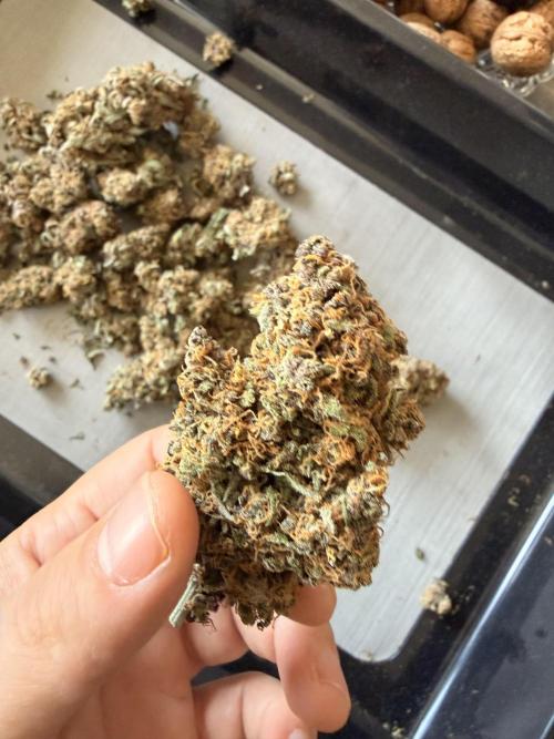 Lemon Cherry Cookies & Banana Punch. Week 10