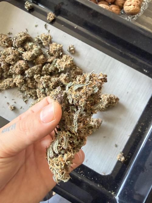 Lemon Cherry Cookies & Banana Punch. Week 10