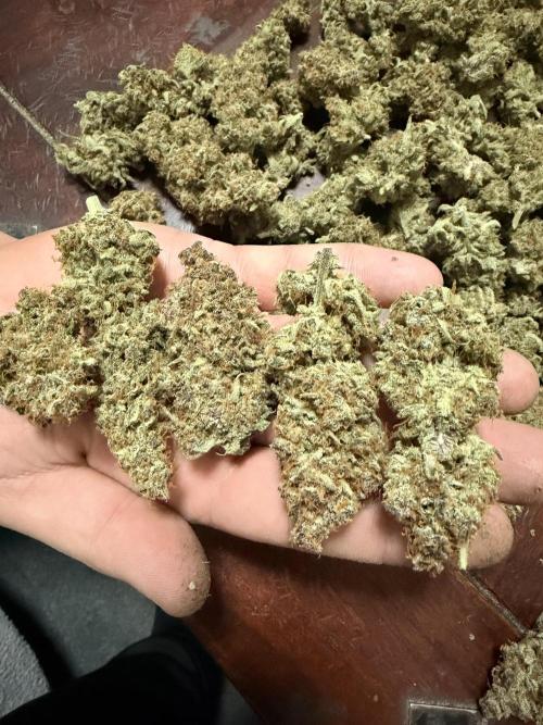 Lemon Cherry Cookies & Banana Punch. Week 11