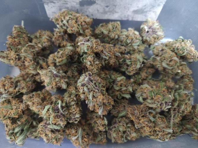 Lemon Cherry Cookies & Banana Punch. Week 10