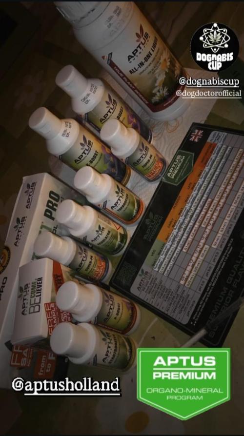 Dognabis cup #420 P & A. Week 11 - Aptus 🌱💫