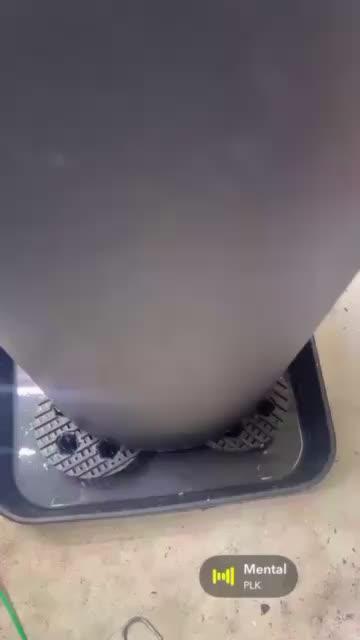 Mota khan afgan élite seed