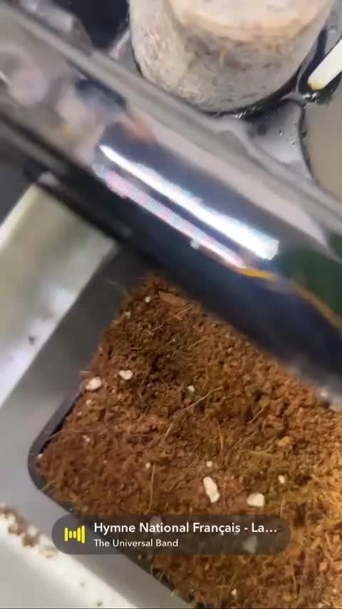 Super boff