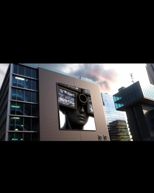 Mota khan afgan élite seed