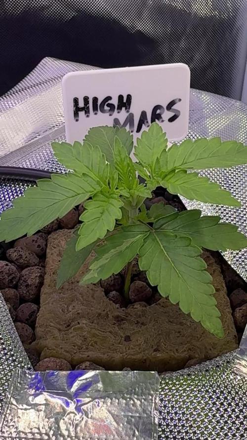 High Mars