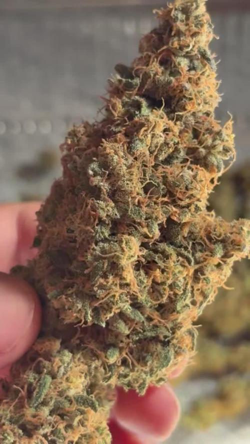 PNW Cherries