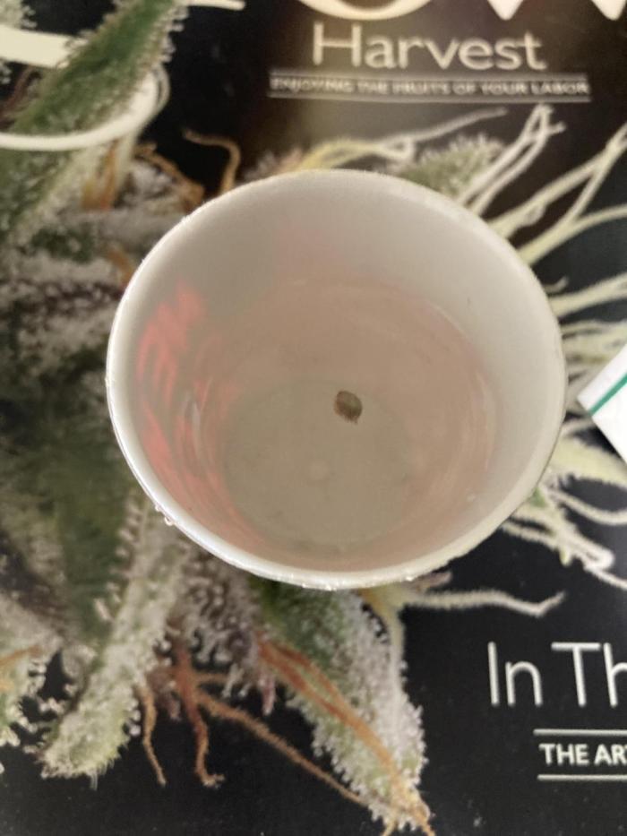 Dre’s Book 2. Week 0