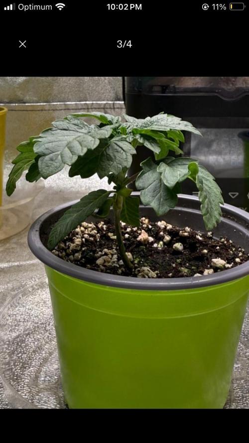 Dre’s Book 2. Week 1