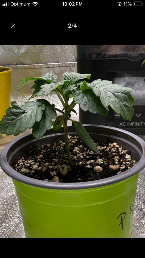 Dre’s Book 2. Week 1