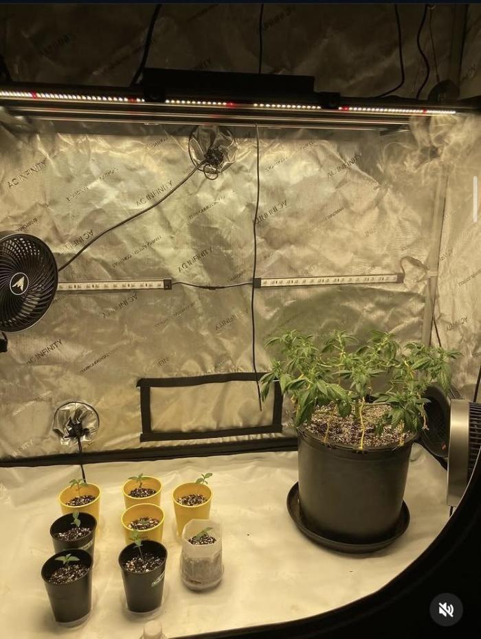 Dre’s Book 2. Week 11