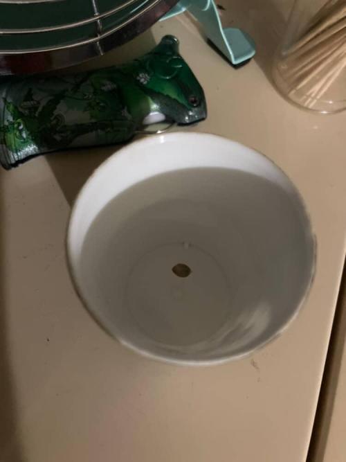 Candyland V2 s1. Week 0