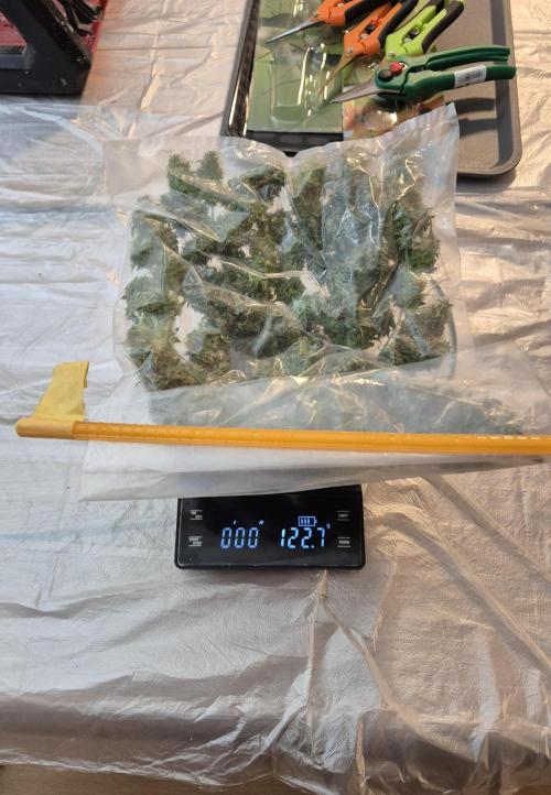 Wedding Cake Auto und Pink Rozay Auto. Week 12