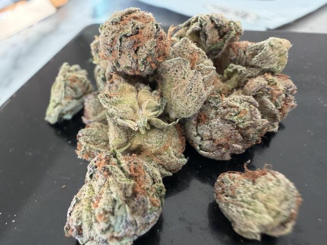 Dutch passion/ barneys farmXdoja run. Week 13