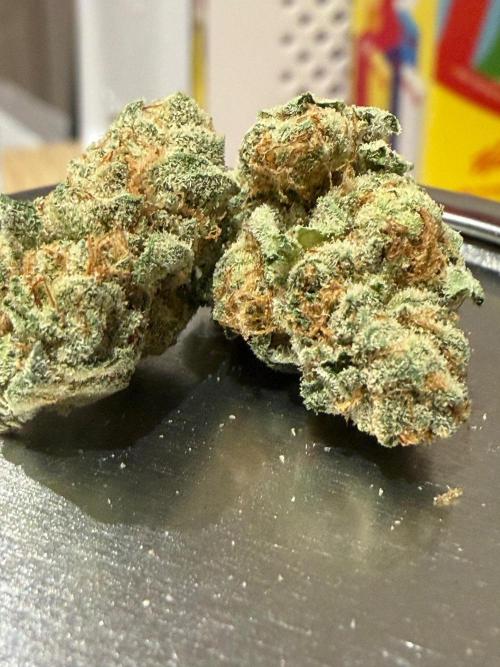 Dutch passion/ barneys farmXdoja run. Week 14