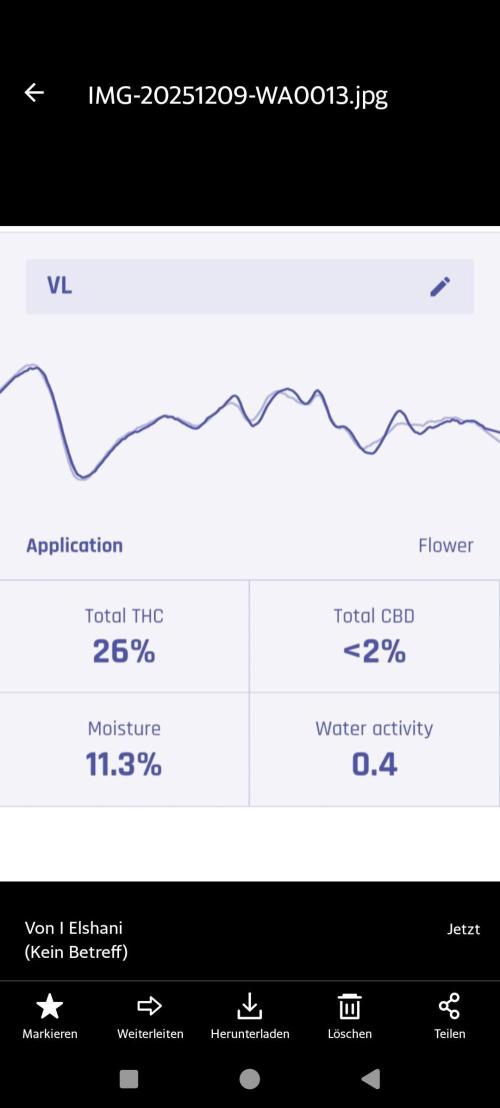 Mixed graft summer grow 7 strains. Week 16