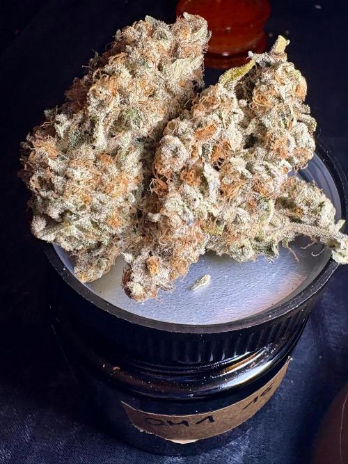 Oreoz Milkshake. Week 12