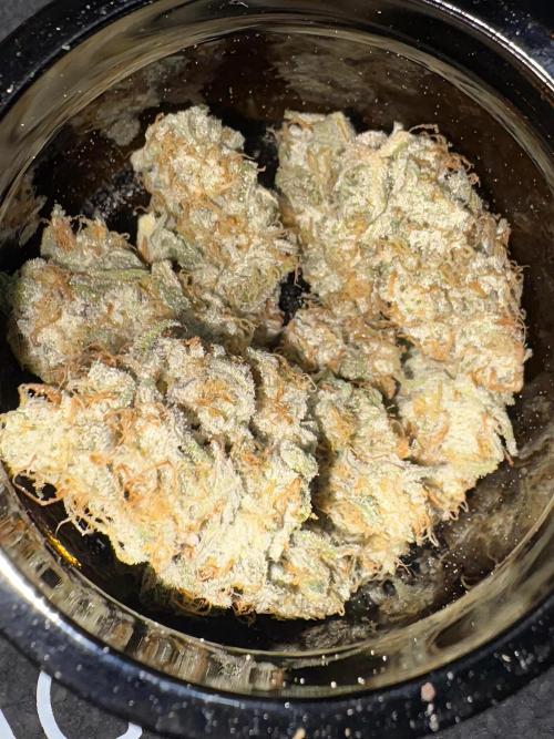 Oreoz Milkshake. Week 12