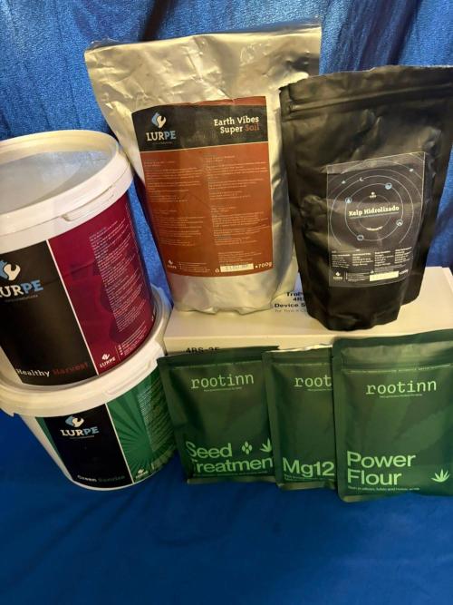 Grow Motion sucht den Super Pheno. Week 0