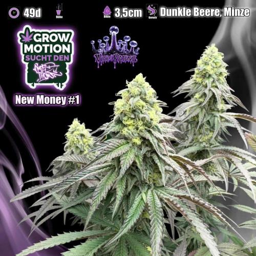 Grow Motion sucht den Super Pheno. Week 16