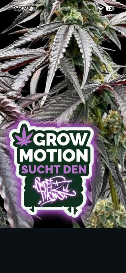 Grow Motion sucht den Super Pheno. Week 16