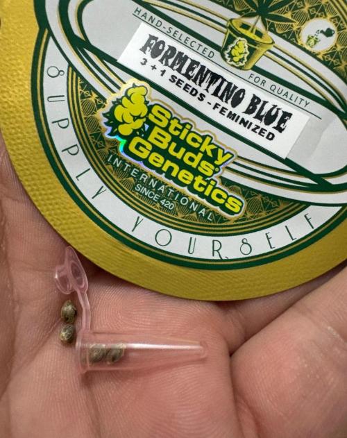 Sticky. Week 0 - I like the packaging. This is the second time I've been growing a sticky buds. 