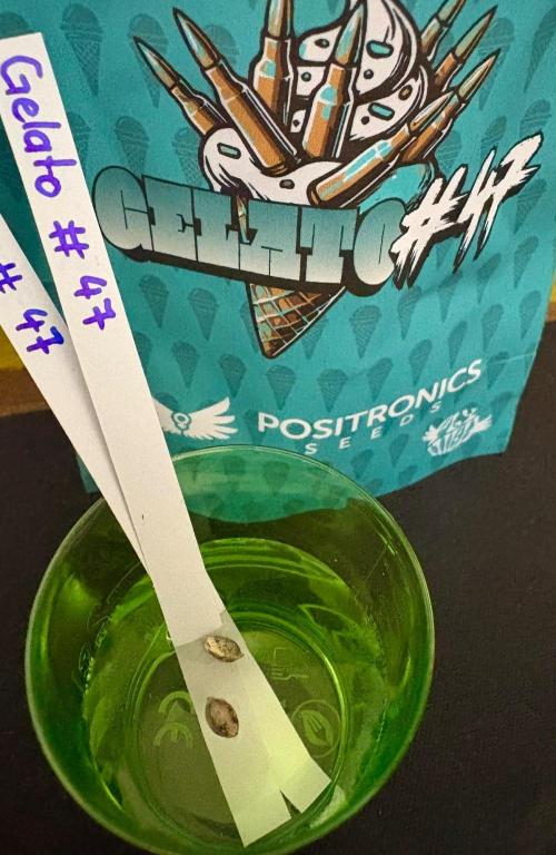 Positronics 2026. Week 0 - As always, a cup of water, in with it, and wait a day until they sink by tapping